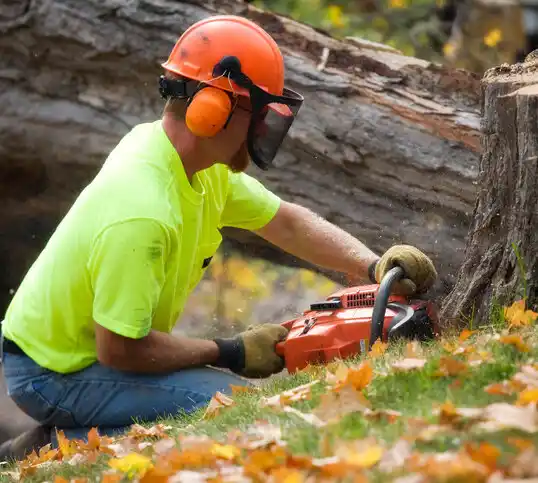 tree services Point of Rocks